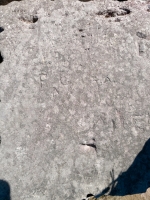 R^C, T.A. Chicago Lakefront stone carvings, south of La Rabida Hospital. 2025