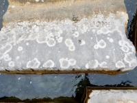 LAR, John, Rum, others. Chicago lakefront stone carvings, Rainbow Beach jetty. 2019