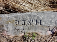 O.J.S. 11. Chicago lakefront stone carvings, Rainbow Beach. 2021