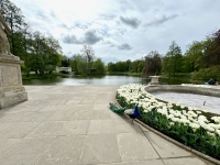 View from the Palace on the Isle, Łazienki Park, Warsaw