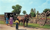 Rockome Gardens postcard