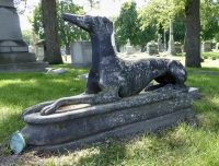 Rosehill grave site  dog: E.H. Stein, 1827-1871