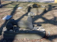 Rosehill grave site  damaged dog: E.H. Stein, 1827-1871