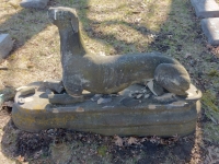 Rosehill grave site  damaged dog: E.H. Stein, 1827-1871