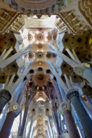 Columns and ceiling, Antoni Gaudí's Sagrada Família, Barcelona