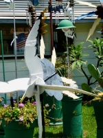A seagull fleeing a storm? San Diego whirligigs,  29th Street, 2008