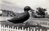 Roadside duck sculpture, Blackduck, Minnesota, postcard