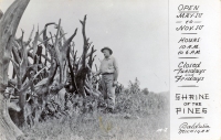 Raymond W. Overholzer at his Shrine of the Pines, Baldwin, Michigan, postcard