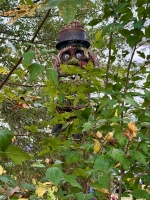 Q.J. Stephenson's Earth Museum/Occoneechee Trapper’s Lodge, Garysburg, NC