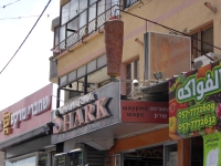 Shawarma Shark, Nazareth, Israel
