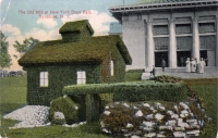 Topiary at NY State Fair postcard
