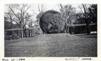 Globe topiary at Soldiers Home snapshot