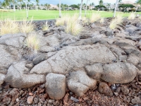 Writing at the edge of the Waikoloa petroglyphs, with a golf course in the background