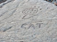 Cat and symbol at the Waikoloa petroglyphs