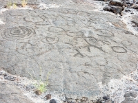 Parent and child figures(?) and circles from the Waikoloa petroglyphs in Hawaii