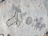 Post-contact carving showing two horses, one with rider, from the Waikoloa petroglyphs in Hawaii
