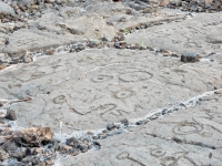Symbols, the Waikoloa petroglyphs