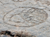 Complex symbol, the Waikoloa petroglyphs