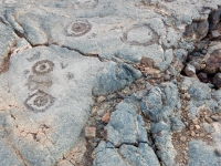 Cupules in circles, the Waikoloa petroglyphs