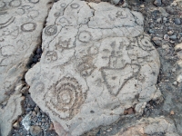 Dense complex of symbols, the Waikoloa petroglyphs