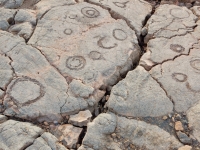 A variety of circles, the Waikoloa petroglyphs