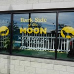 Bark Side Of The Moon, Chicago