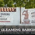 Gleaming Barkus,  El Camino Real, San Mateo, California
