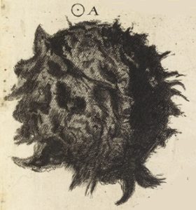 Skeptical Life: A period, from Hooke's Micrographia