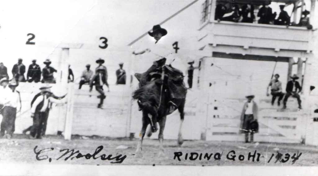 Clarence Woolsey riding in the rodeo, 1934