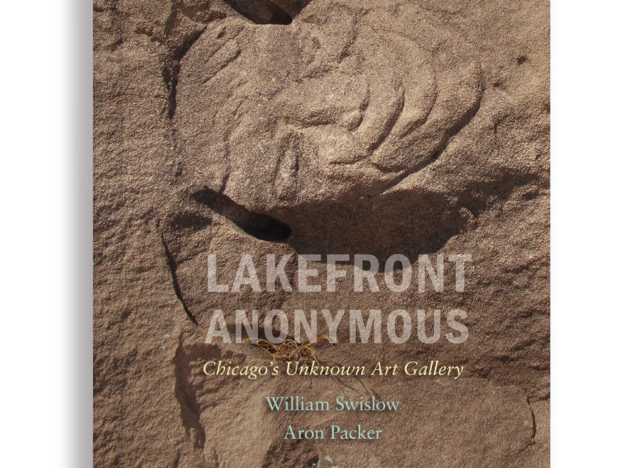 Lakefront Anonymous Book Cover with stone carving of a face